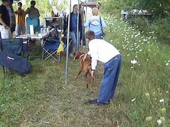 DSC02062