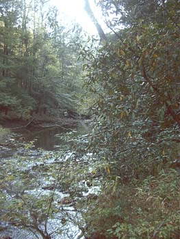 Red River Gorge 2